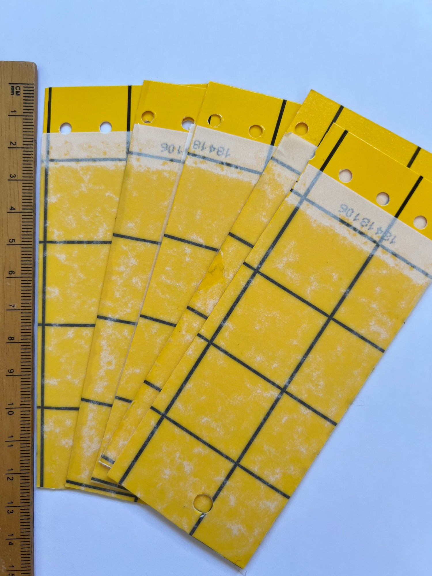 Mini Yellow Eco Traps-ladybirdplantcare.co.uk