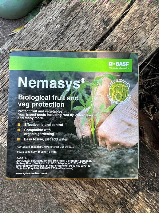 Some tips for using nematodes to get rid of fungus gnats