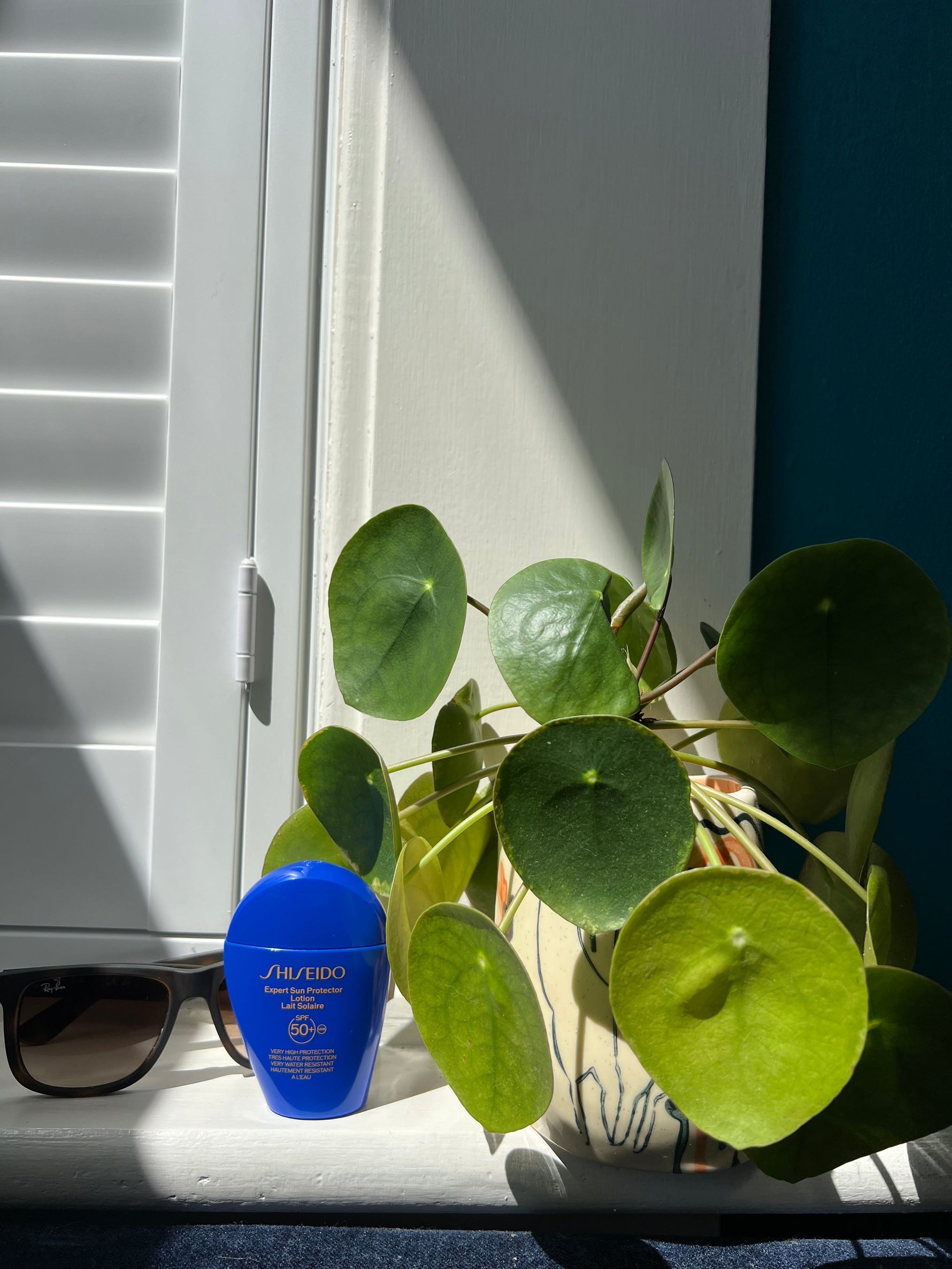 Are your plants beach ready?  Holiday prep