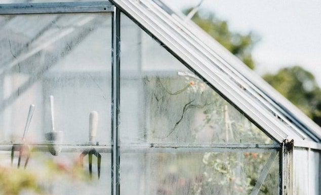 Good garden hygiene to beat the pests