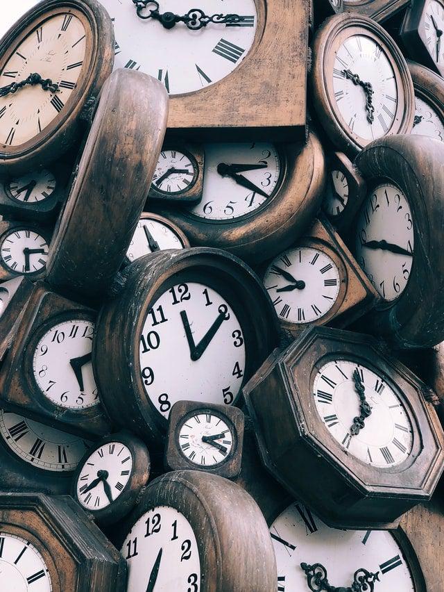 Why timing is everything when it comes to plant pest control
