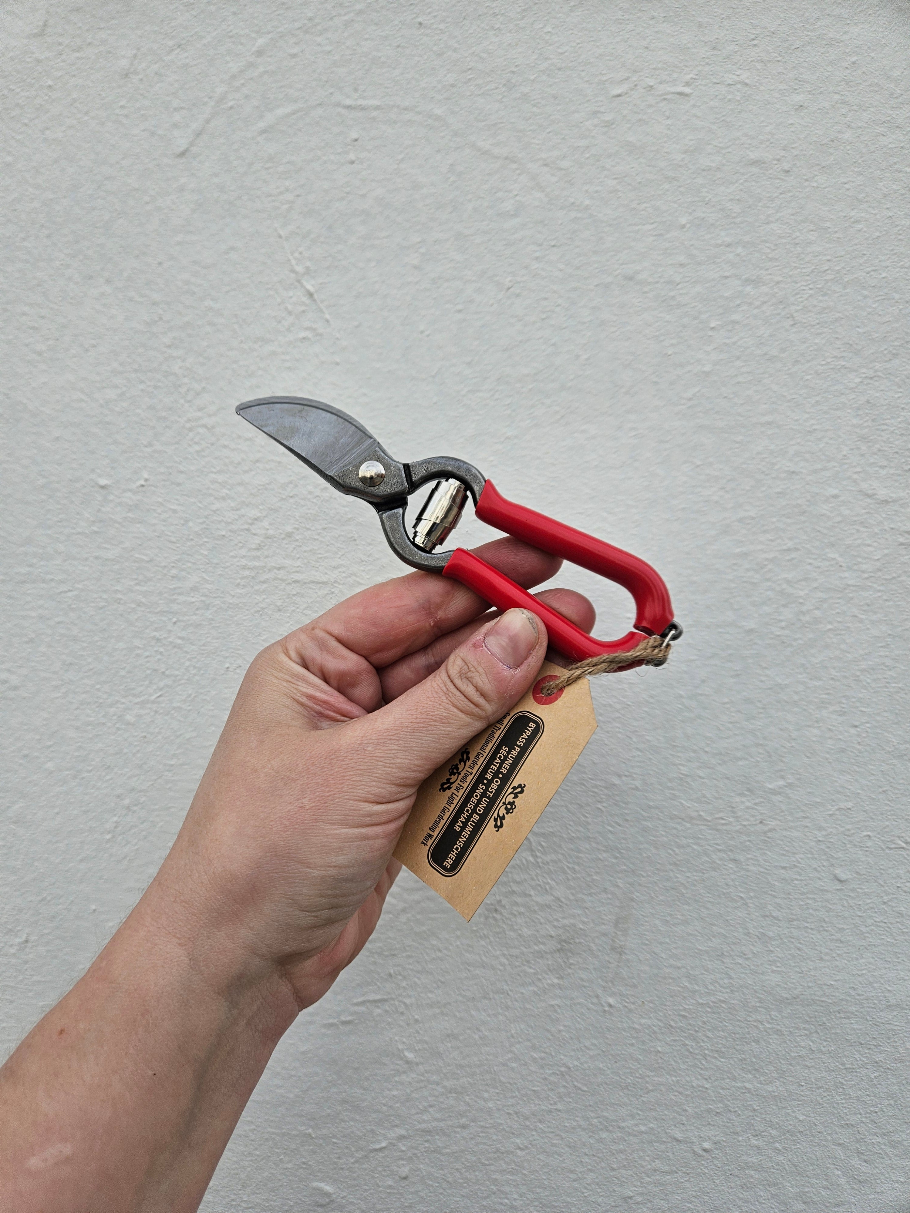 Red Pruning scissors – ladybirdplantcare.co.uk