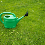 Lawn Flea Nematodes (Steinernema Feltiae/Carpocapsae mix) 3 pack-ladybirdplantcare.co.uk