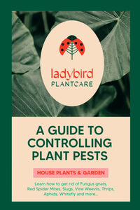 Pest control leaflet-ladybirdplantcare.co.uk