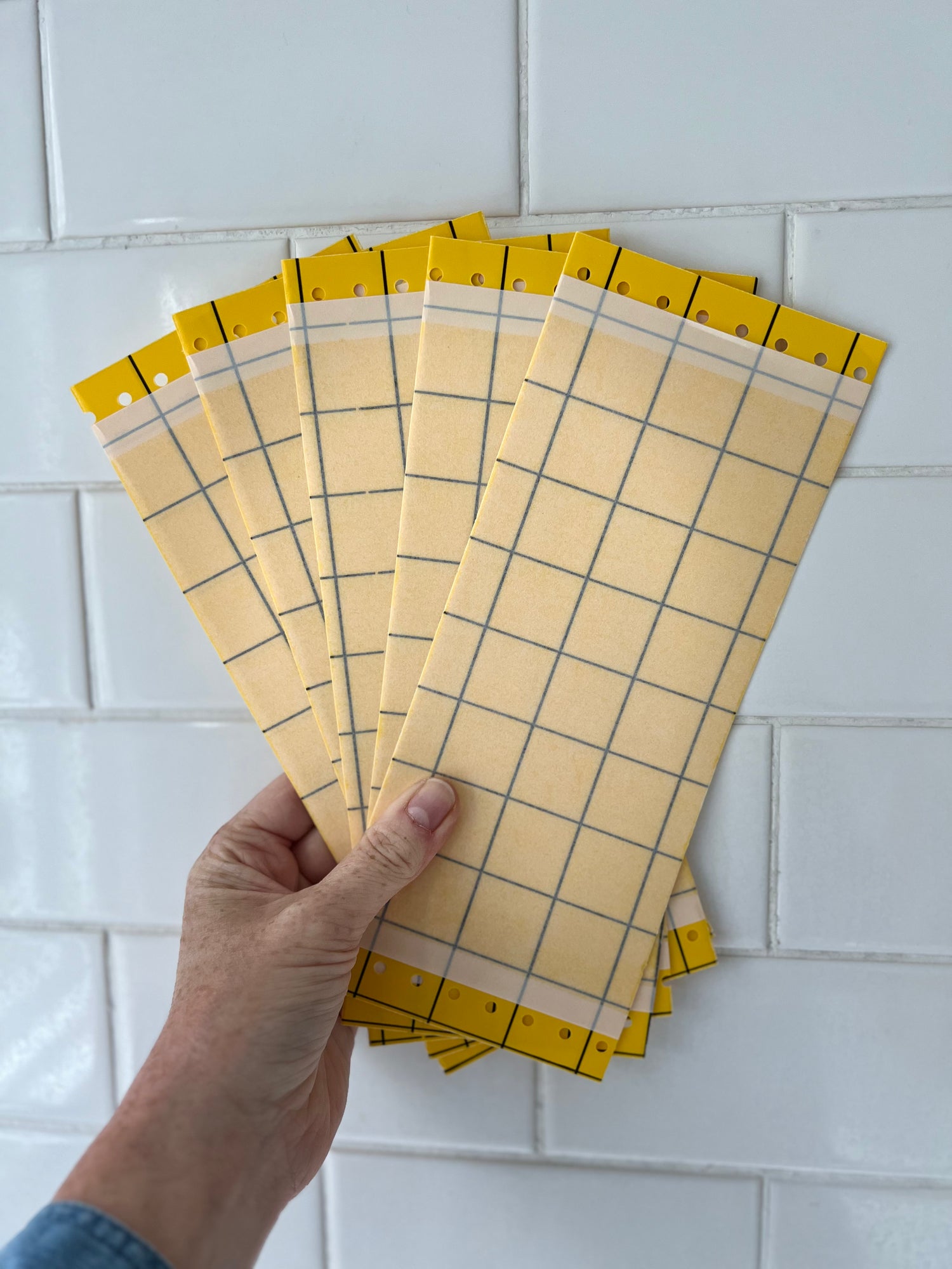 Sticky Traps-Traps-ladybirdplantcare.co.uk