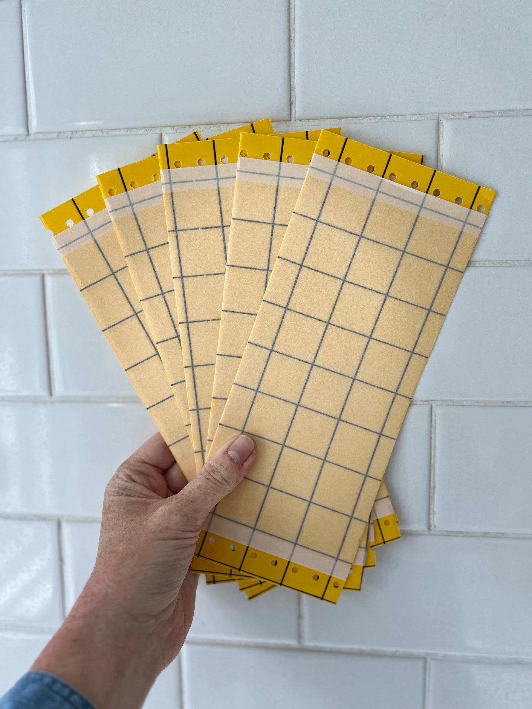 Sticky Traps-Traps-ladybirdplantcare.co.uk