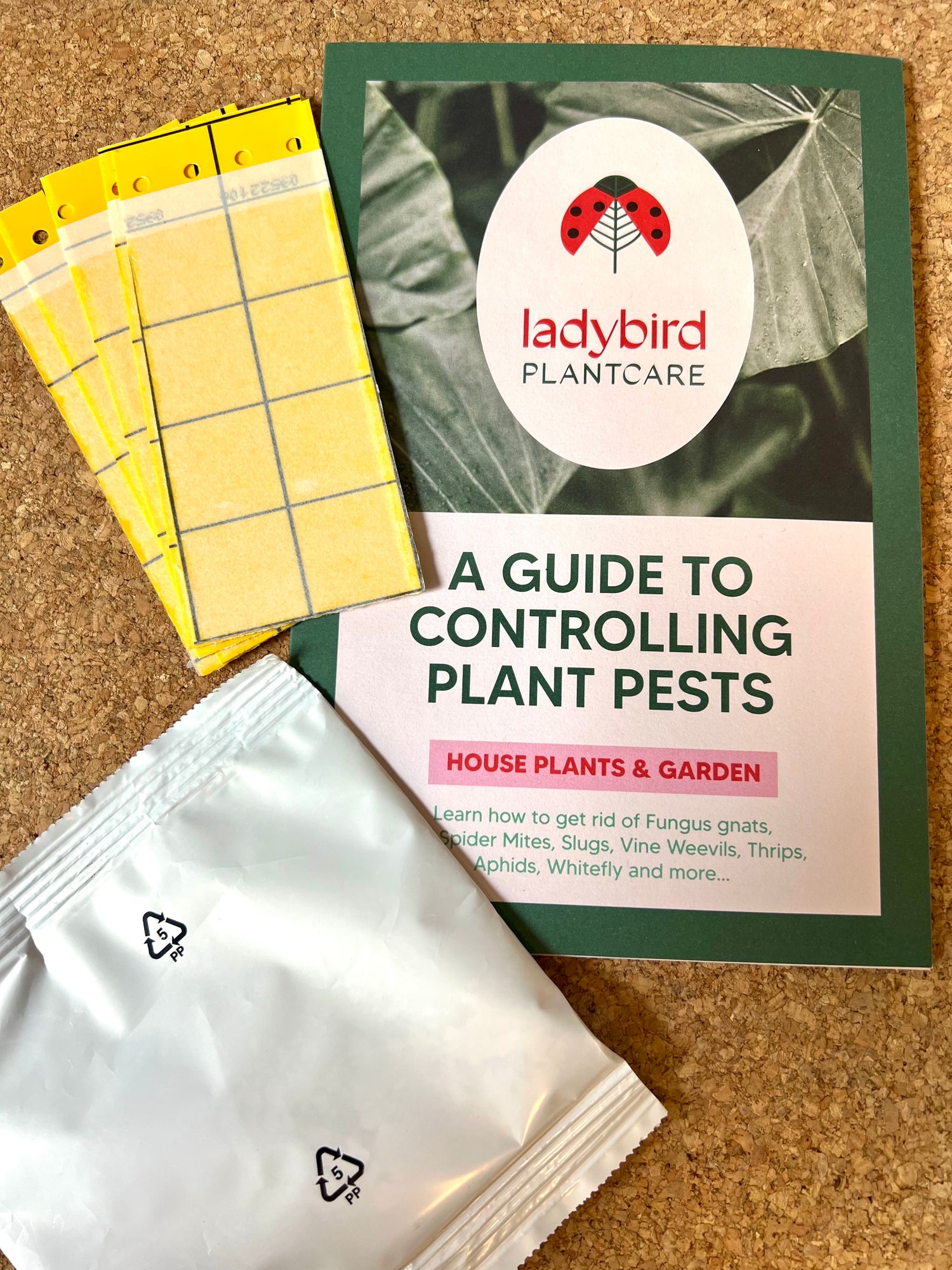Fungus Gnat treatment bundle (includes free First Class shipping)-Sciarid Controls-ladybirdplantcare.co.uk