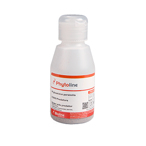 Red Spider Mite Killer (Phytoseiulus Persimilis)-Spider Mite Controls-ladybirdplantcare.co.uk