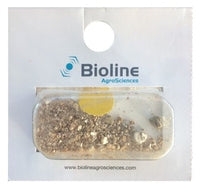 Aphid Midge-Aphid Controls-ladybirdplantcare.co.uk