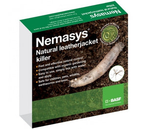 Leatherjacket Nematodes-Leatherjacket Controls-ladybirdplantcare.co.uk
