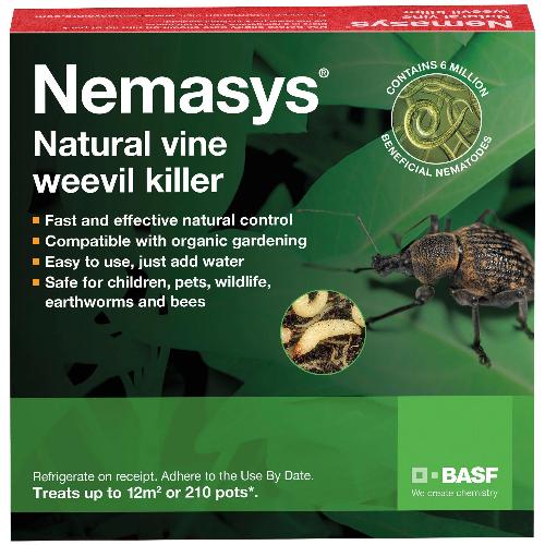 Vine Weevil Control - Nematodes-Vine Weevil Controls-ladybirdplantcare.co.uk