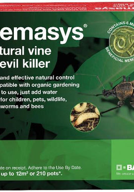 Vine Weevil Control - Nematodes