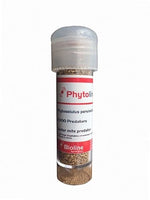 Red Spider Mite Killer (Phytoseiulus Persimilis)-Spider Mite Controls-ladybirdplantcare.co.uk