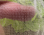InsectoNet Plastic Free Netting-ladybirdplantcare.co.uk