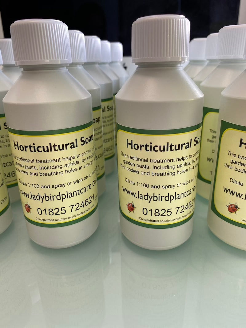 Horticultural Soap-Soft Soap-ladybirdplantcare.co.uk