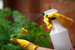 Horticultural Soap-Soft Soap-ladybirdplantcare.co.uk