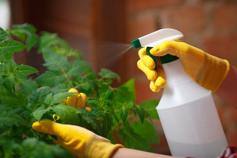 Horticultural Soap-Soft Soap-ladybirdplantcare.co.uk