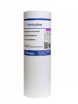 Shaker Tub of Amblyseius cucumeris for Thrips-Thrip Controls-ladybirdplantcare.co.uk